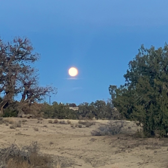 Meet your Posher, Kris - Picture 1 of 1